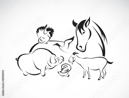 Vector farm animal set on white background