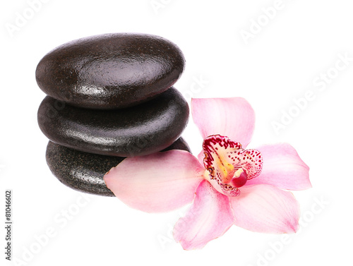 Photography massage basalt stones and orchid flower isolated on white backgr