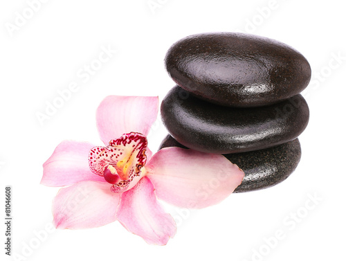 Wall Mural massage basalt stones and orchid flower isolated on white backgr