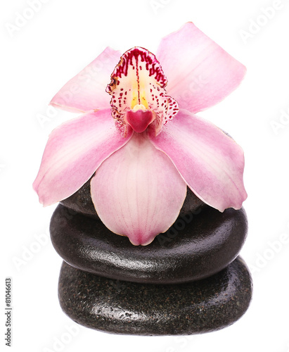 Canvas Print massage basalt stones and orchid flower isolated on white backgr