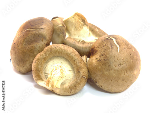 mushrooms isolated