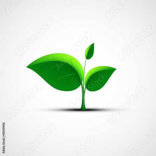 Green leaf logo.