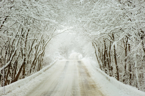 countryside road at winter