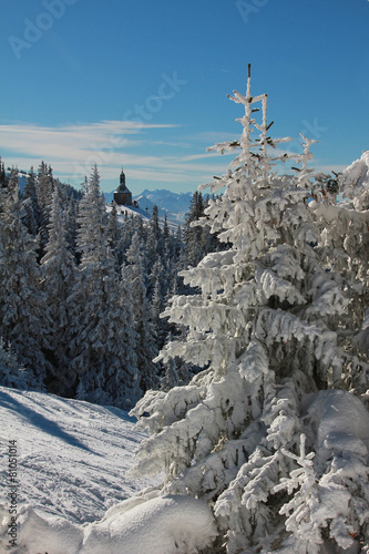 Verschneiter Winterwald am Wallberg
