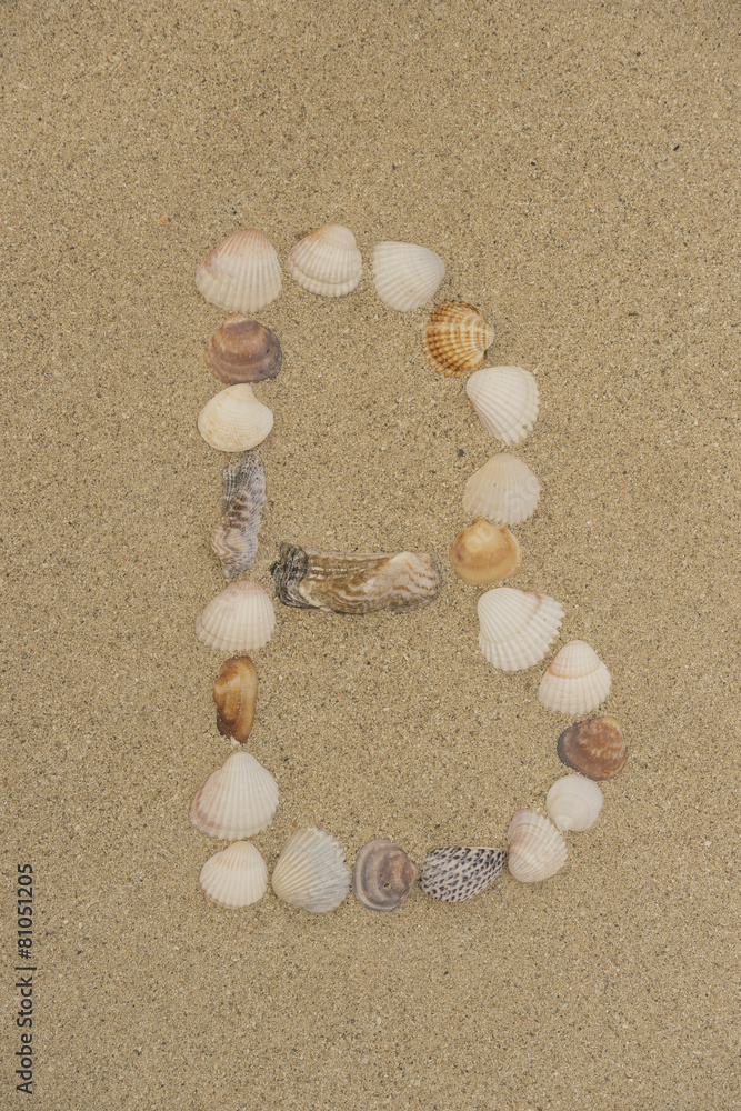 Buchstabe B aus Muscheln im Sand Buchstabe B aus Muscheln im Sand
