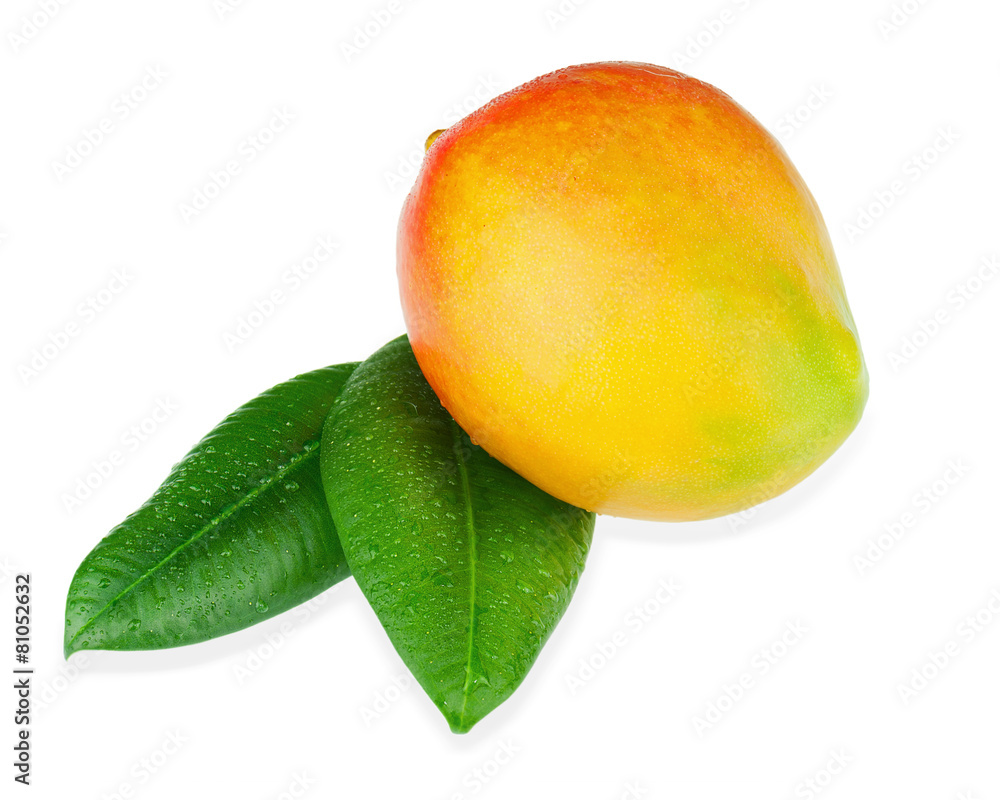 Fresh mango fruit with green leaves isolated on white background