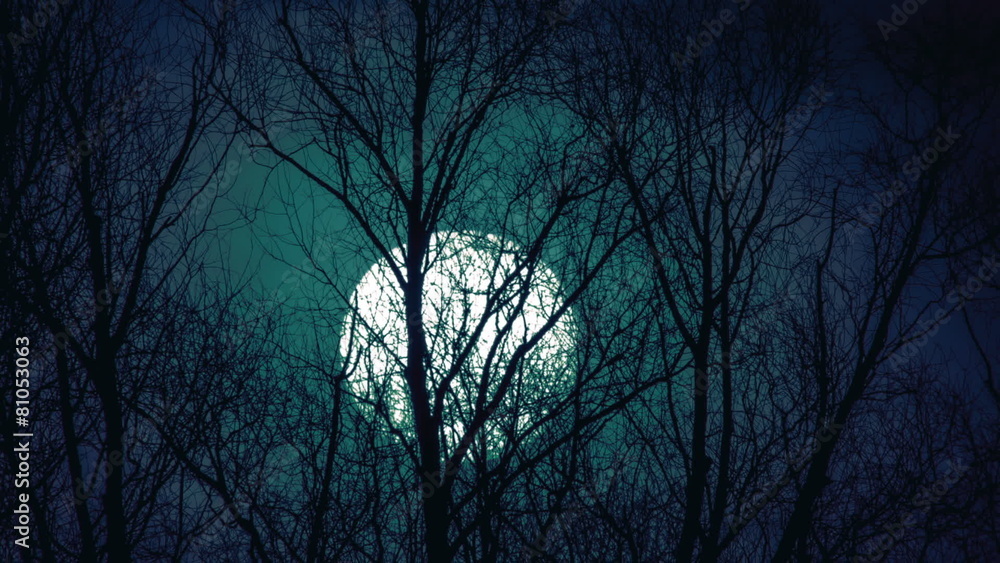 The moon above forest close up time lapse video, strong zoom The moon above forest close up time lapse video, strong zoom