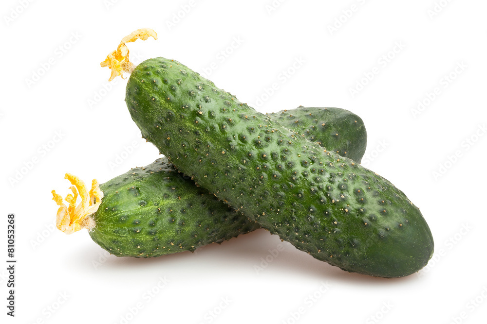 cucumber cucumber