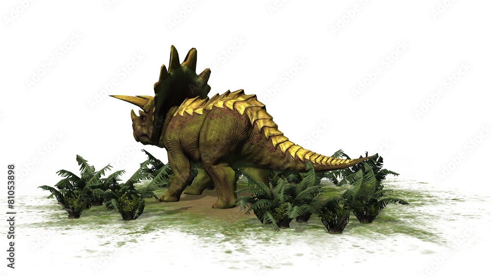 Fototapeta premium Triceratops Dinosaur - seperated on white background