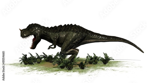 T-Rex Dinosaur - seperated on white background