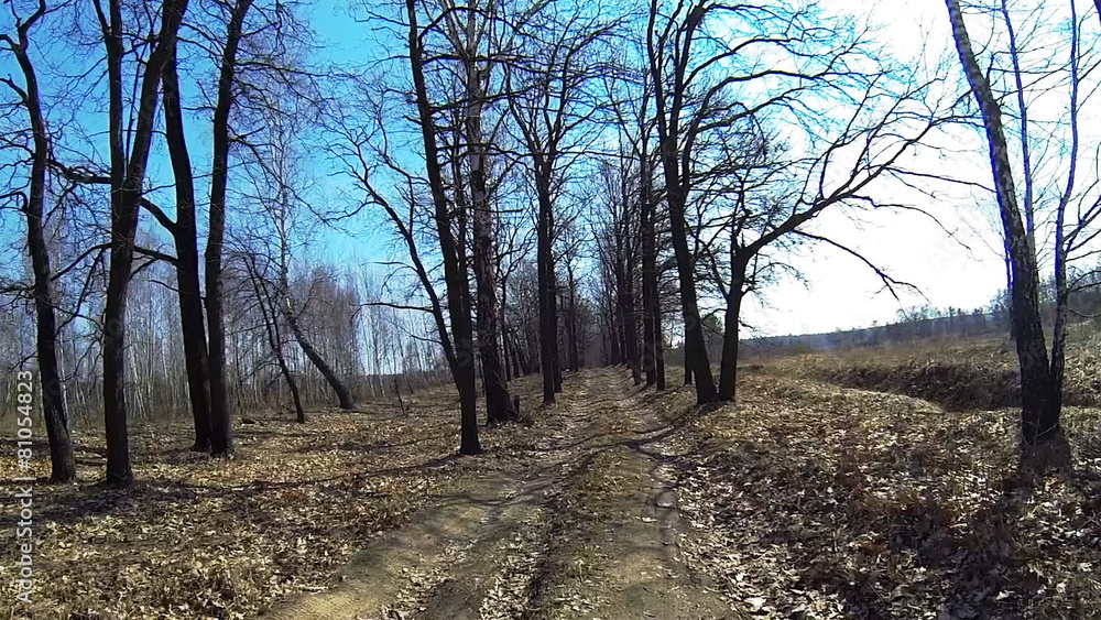 Biking Rider's Perspective on country road Biking Rider's Perspective on country road