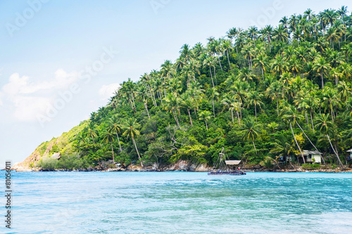 Tropical forest, sea coast and mountains © Acronym