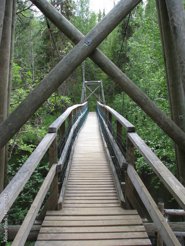 Fototapeta Naklejka Na Ścianę i Meble -  Bridge in the forest
