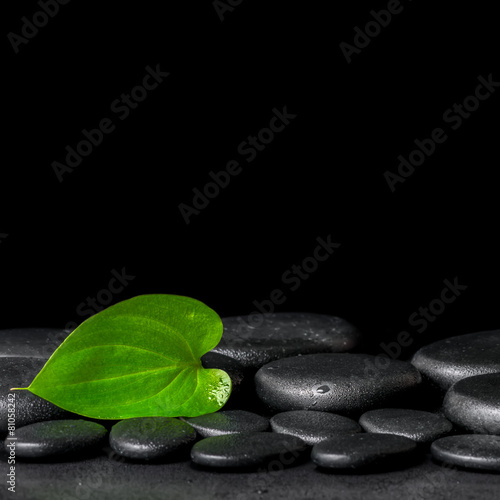spa background of zen stones and green leaf on black background