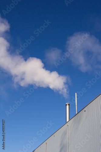 Water vapor or steam form a biomass power station photo