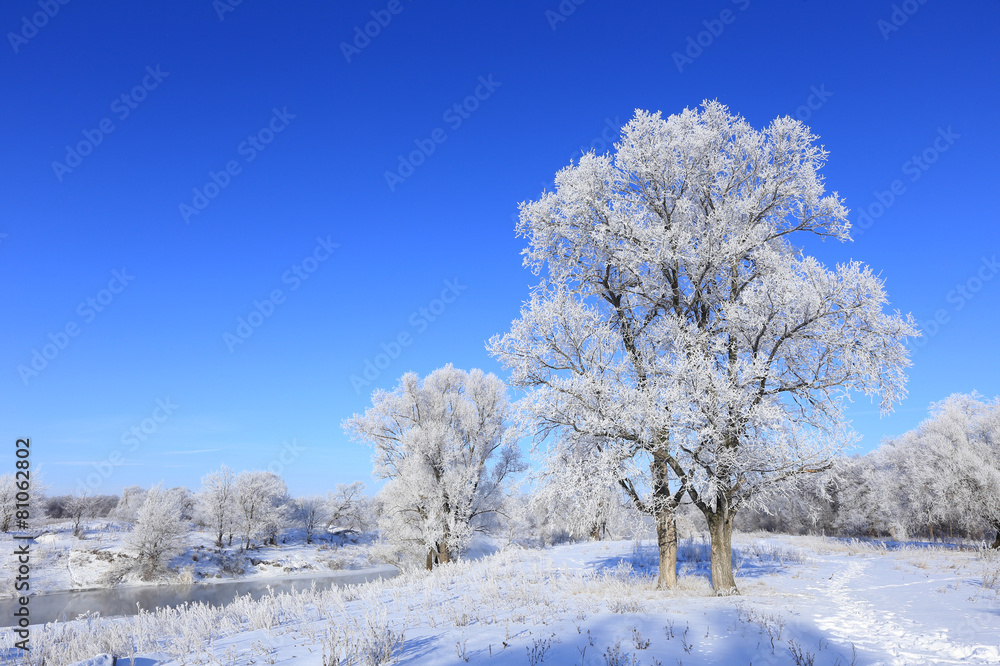 winter landscape winter landscape