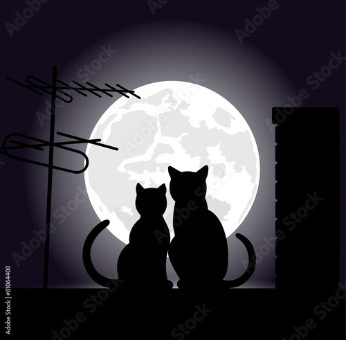 cats on a night roof