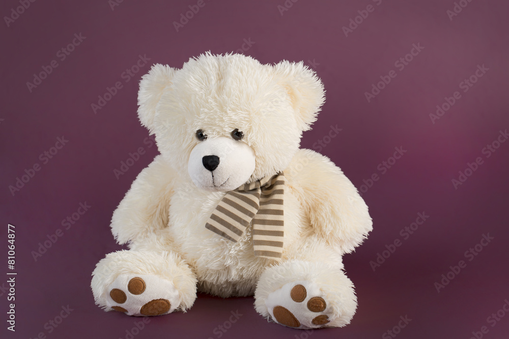 Fluffy teddy bear on a deep pink background Fluffy teddy bear on a deep pink background