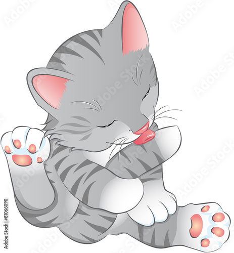 Katzenbaby Kitten putzt sich