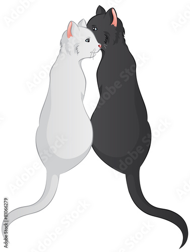 Ein Katzengeheimnis