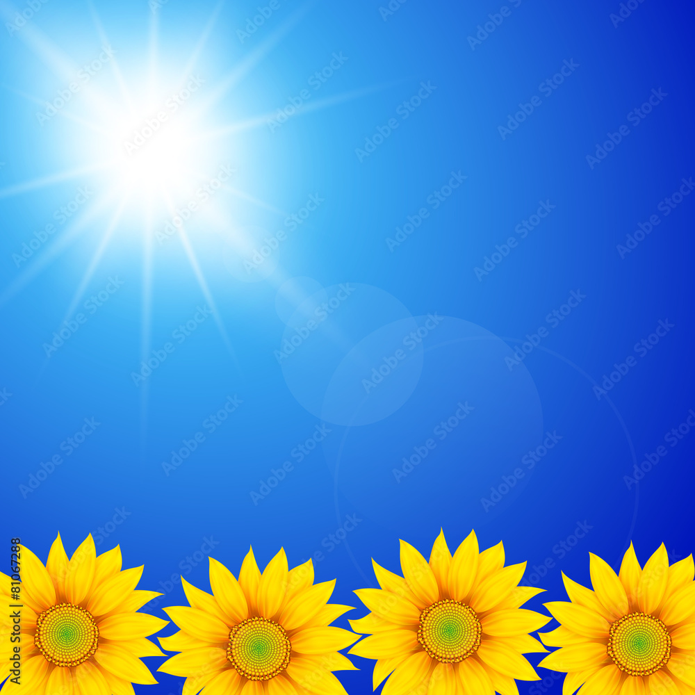 Sunflower in sunny sky background Sunflower in sunny sky background