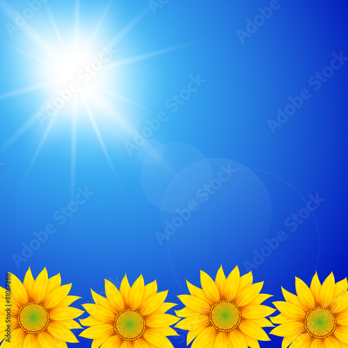 Sunflower in sunny sky background