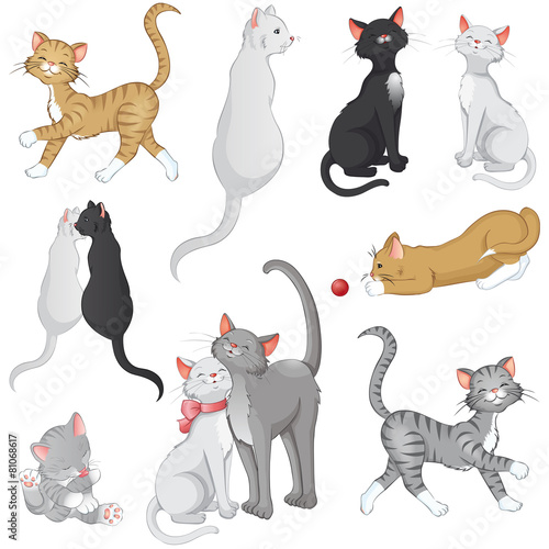Katzen Set Sammlung Kollektion