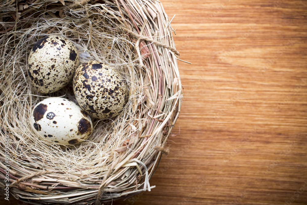 Quail eggs. Easter greeting card. Quail eggs. Easter greeting card.