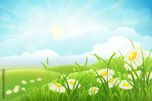 Summer meadow landscape with grass, flowers, hills, and sun