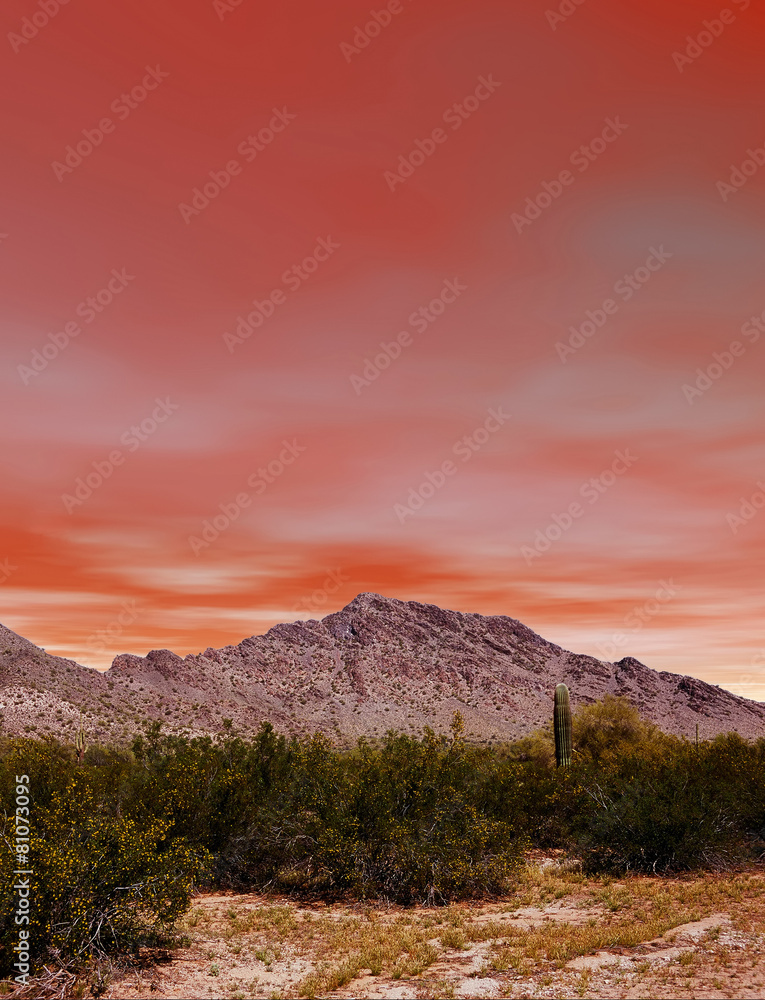 Sunset Sonora Desert