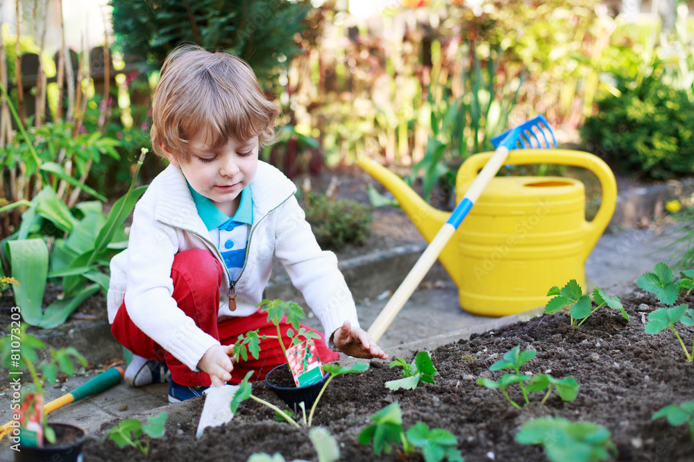 Adorable blond boy planting seeds and seedlings of tomatoes Adorable blond boy planting seeds and seedlings of tomatoes
