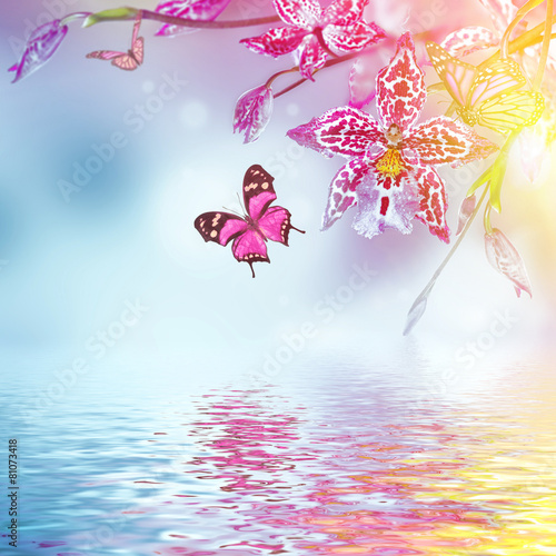 Fototapeta Naklejka Na Ścianę i Meble -  Floral background of tropical orchids, butterfly