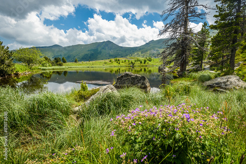 Mountain landscape,Austria.
