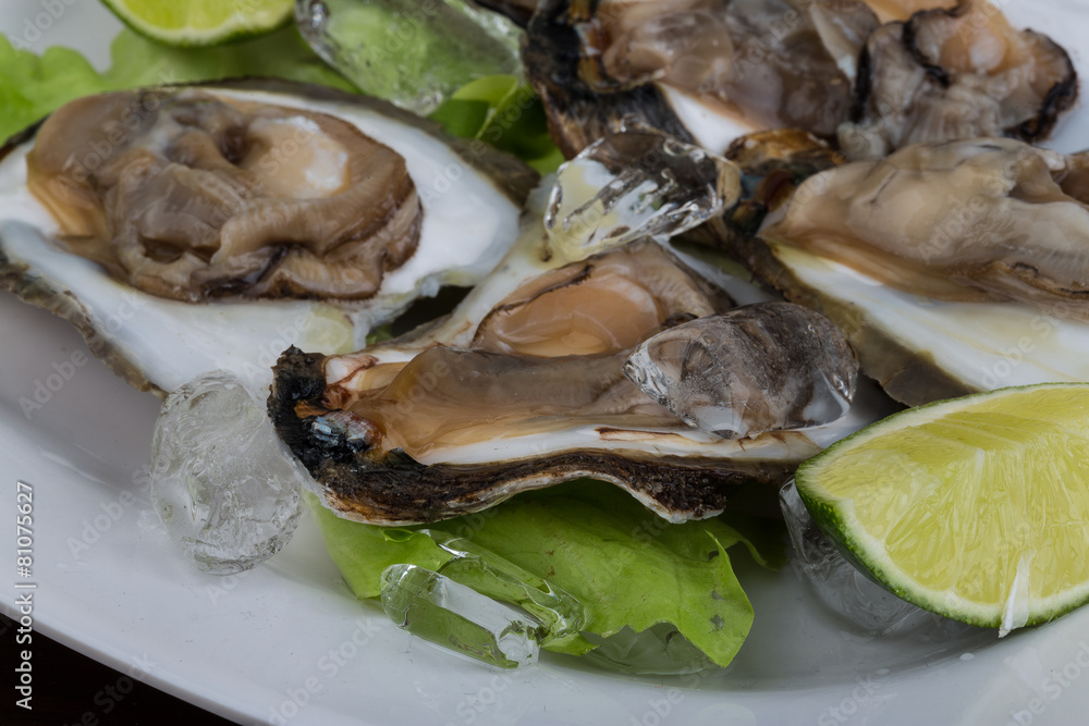 Fresh oyster Fresh oyster