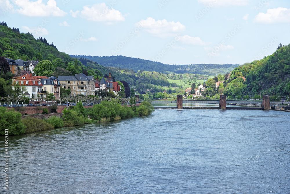 Landscape of Quay and dam on Neckar river in summer Heidelberg