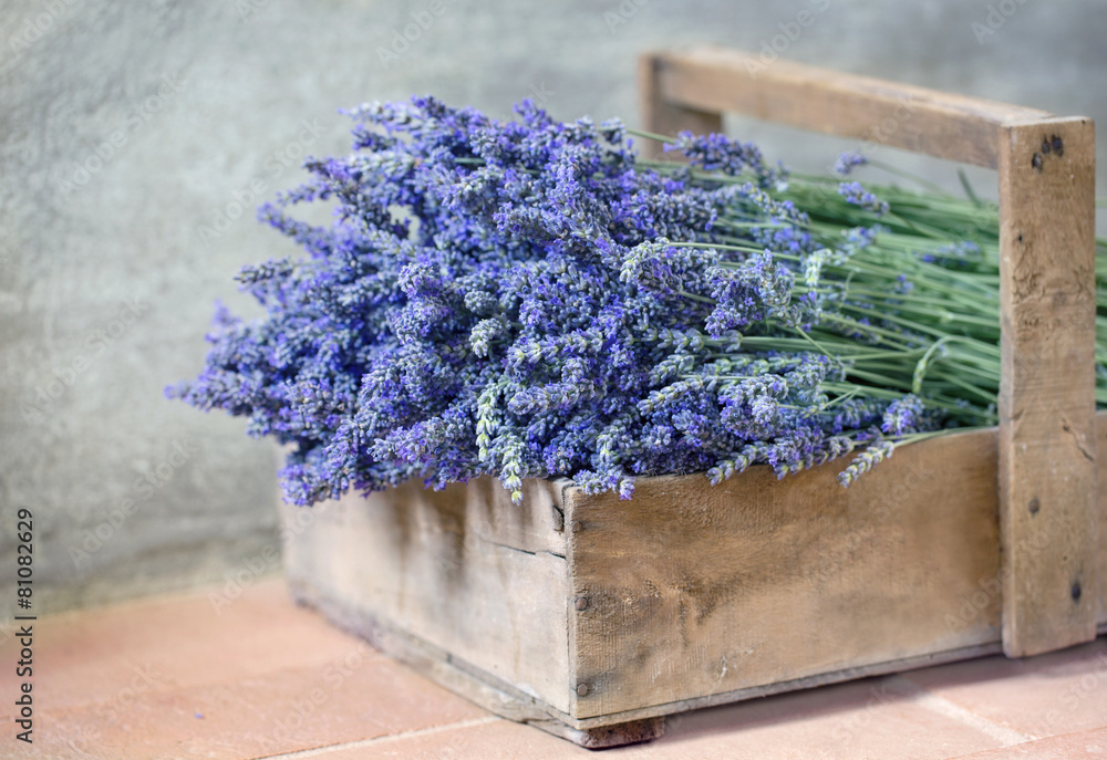 Naklejka premium Bouquet of lavender flowers