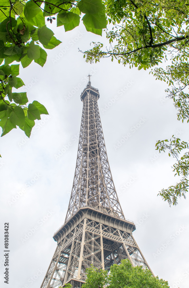 La Tour Eiffel, Paris. Landmark surrounded by trees in summer
