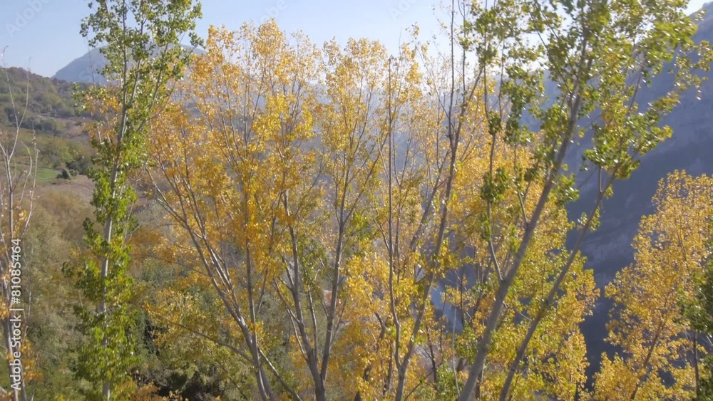 Aerial view on beautiful autumn forest and mountains
Aerial view on beautiful autumn forest and mountains