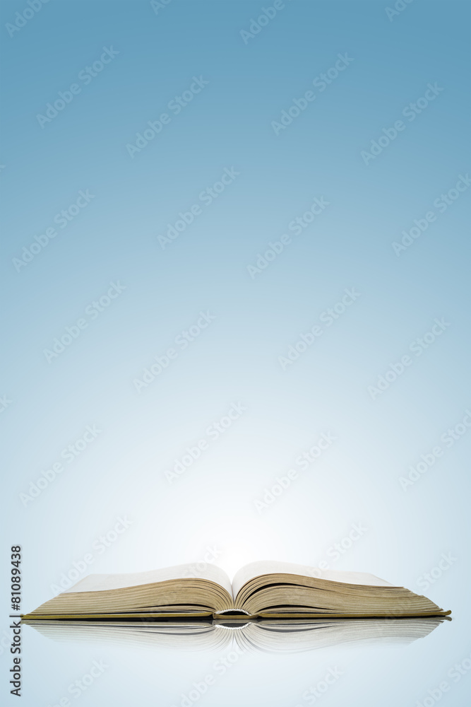 Obraz premium bible