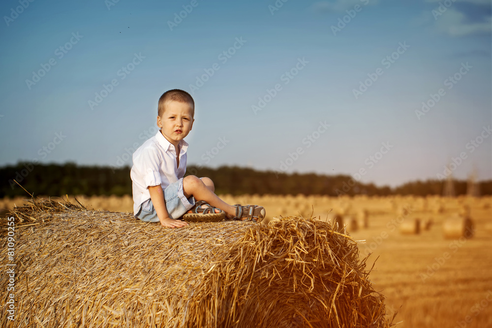 Adorable cute boy sitting on a haystack in wheat field on warm a Adorable cute boy sitting on a haystack in wheat field on warm a