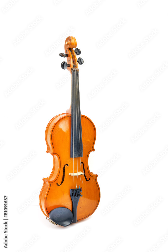 Fototapeta premium violin on white background