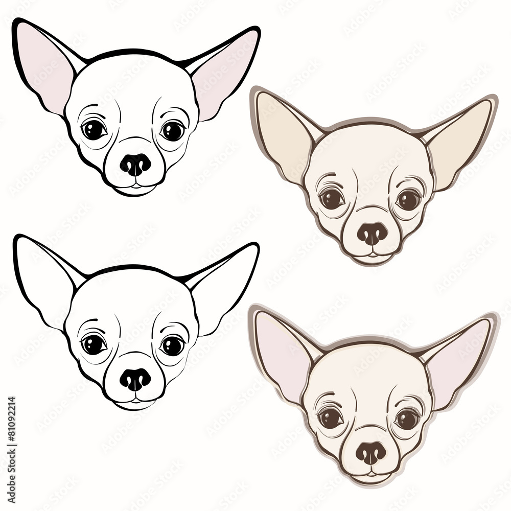 Vector set of chihuahua's face. Hand-drawn vector illustration. Vector set of chihuahua's face. Hand-drawn vector illustration.