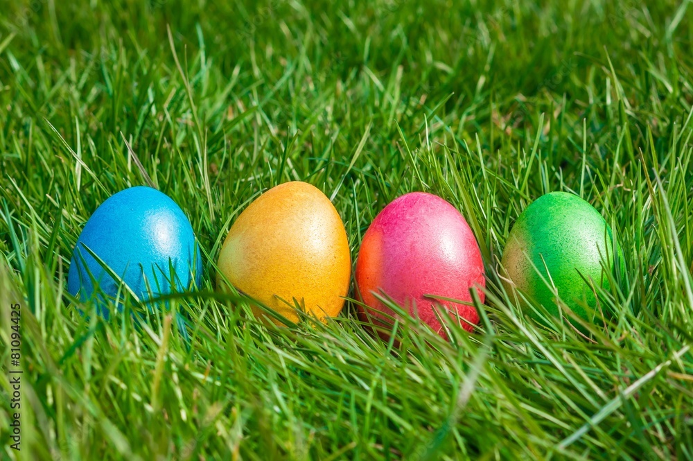 Colorful Easter eggs on a green grass
