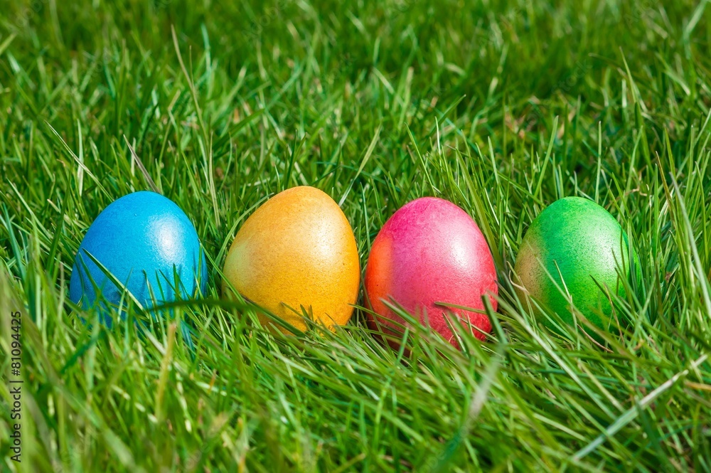Colorful Easter eggs on a green grass Colorful Easter eggs on a green grass