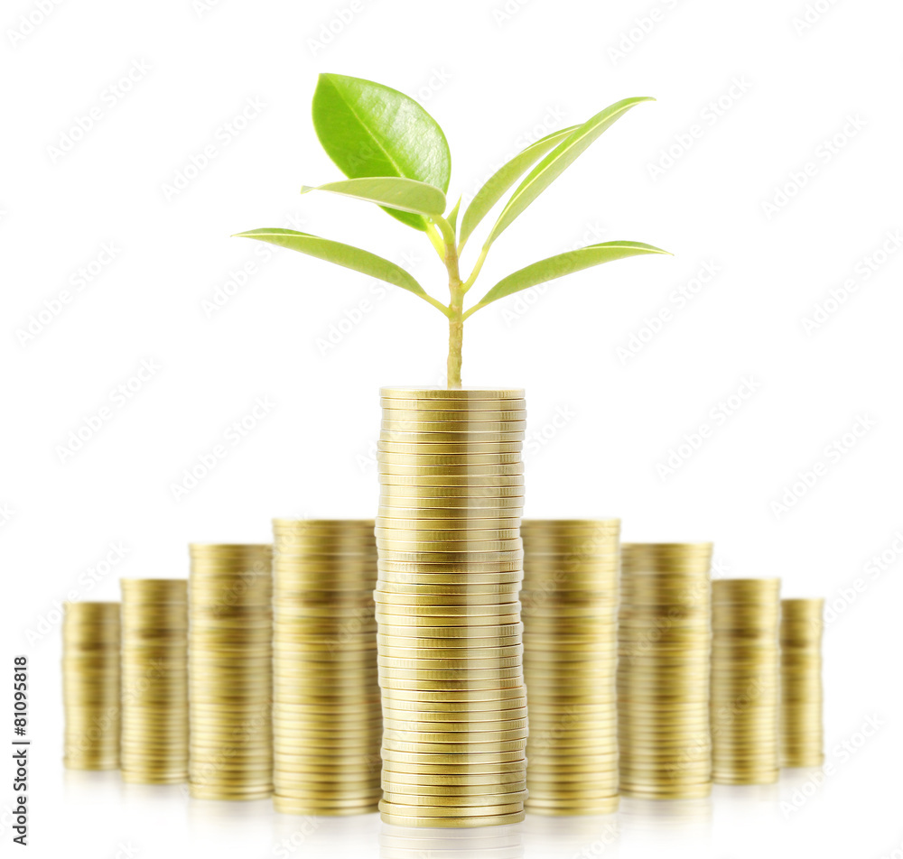 Tree growing from money Tree growing from money