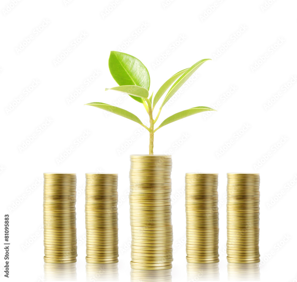 Tree growing from money Tree growing from money