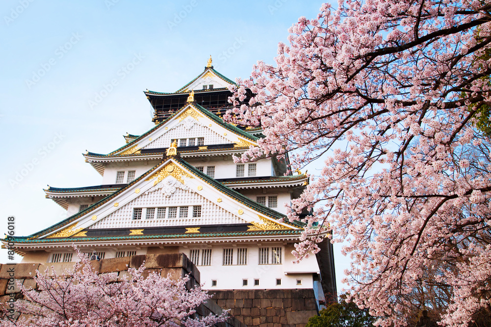 Fototapeta premium Japan Osaka Castle close up with cherry blossom