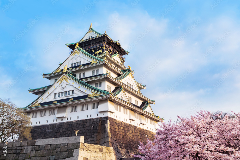 Fototapeta premium Japonia Park zamkowy Osaka z kwiatem wiśni