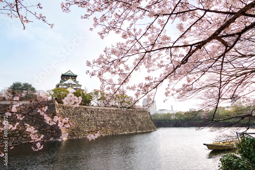 Wallpaper Mural Japan Osaka Castle park with cherry blossom Torontodigital.ca