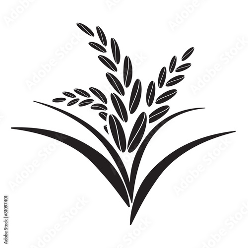 rice